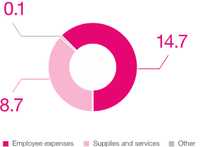 Pie chart showing our expenses in dollars. Employee expenses were 14.7 million, supplies and services 8.7 million, and other expenses 0.1 million