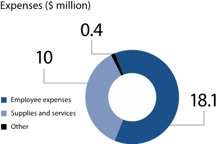 Our expenses for 2019-20: $18.1 million on employee expenses, $10 million on supplies and services and $0.4 million on other expenses.