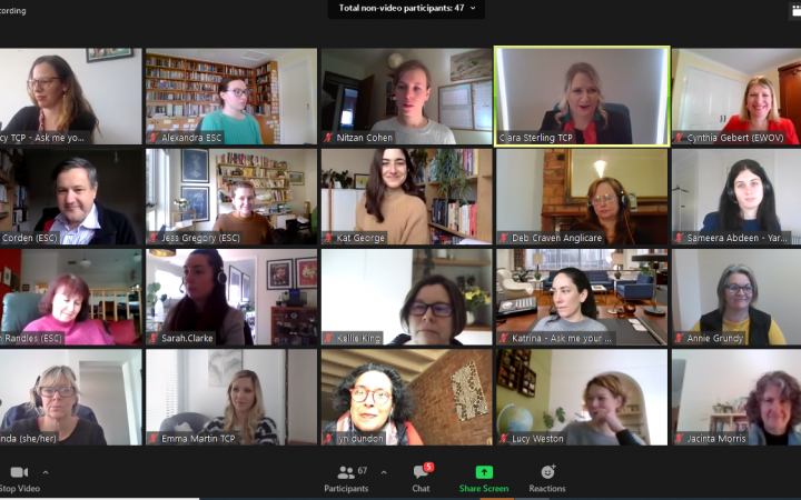 Screenshot of virtual attendees at Thriving Communities Partnership webinar in August 2020