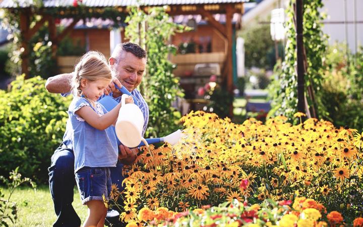 Father and daughter watering plants in backyard