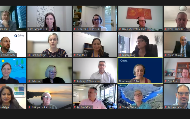 Screenshot of virtual participants at the commission's water leaders industry roundtable in March 2022