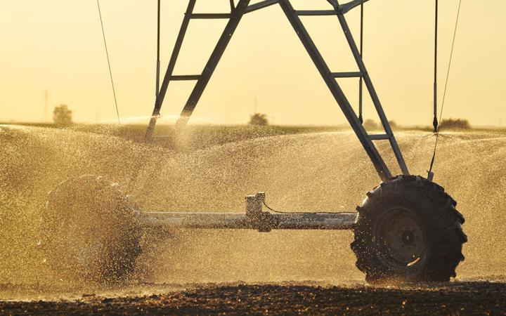 An agricultural irrigation sprinkler watering in use.